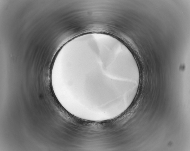 X0000099231226200805221829