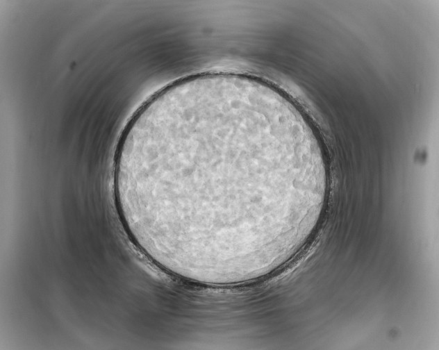 X0000099231232200805221829