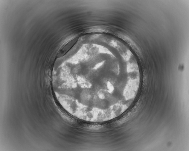 X0000099231233200805221829