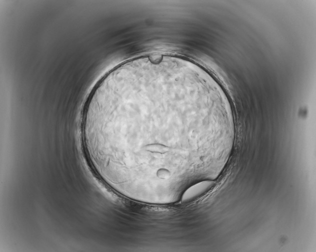 X0000099231235200805221829