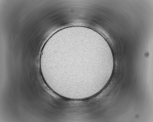 X0000099231236200805221829