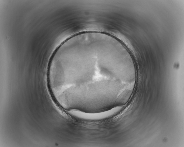 X0000099231237200805221829