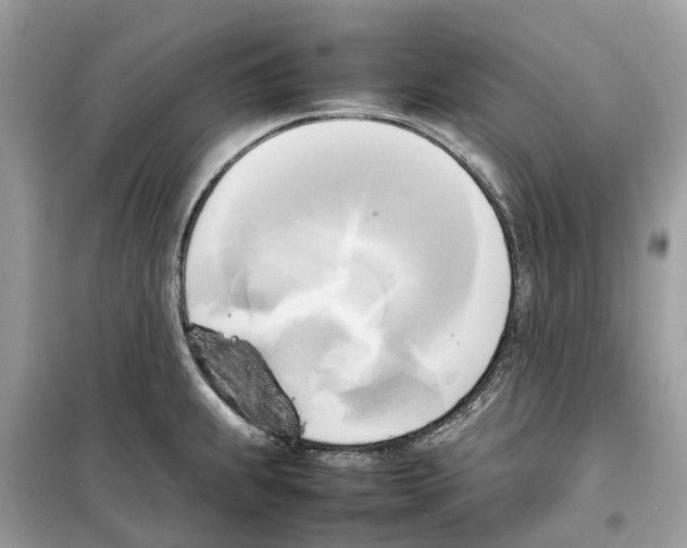 X0000099231239200805221829