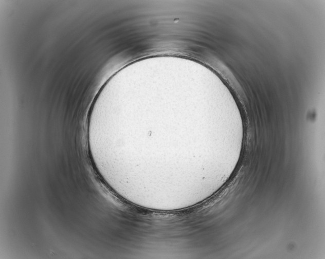 X0000099231242200805221829