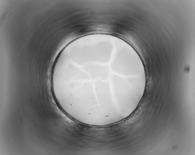 X0000099231243200805221829