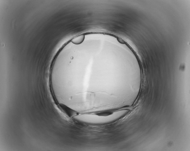 X0000099231245200805221829