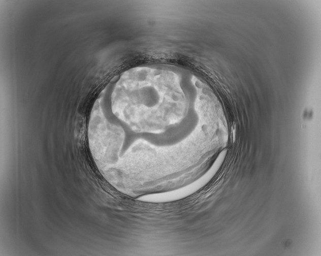 X0000099231251200805221828