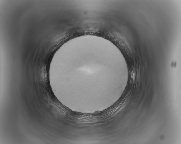 X0000099231252200805221828