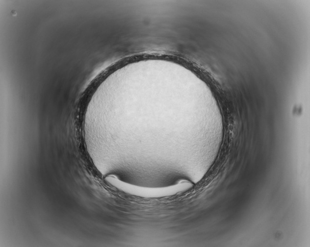 X0000099231256200805221828