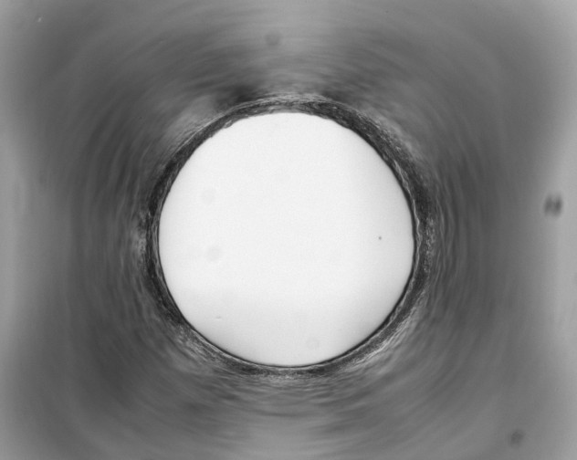 X0000099231257200805221828