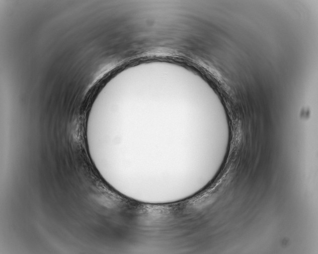 X0000099231258200805221828