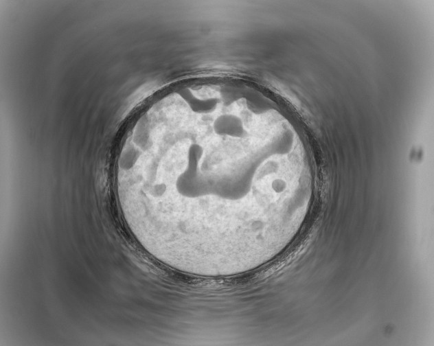 X0000099231259200805221828