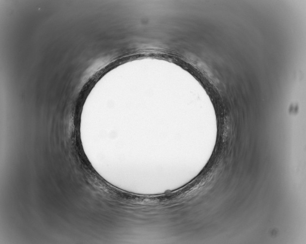 X0000099231261200805221828