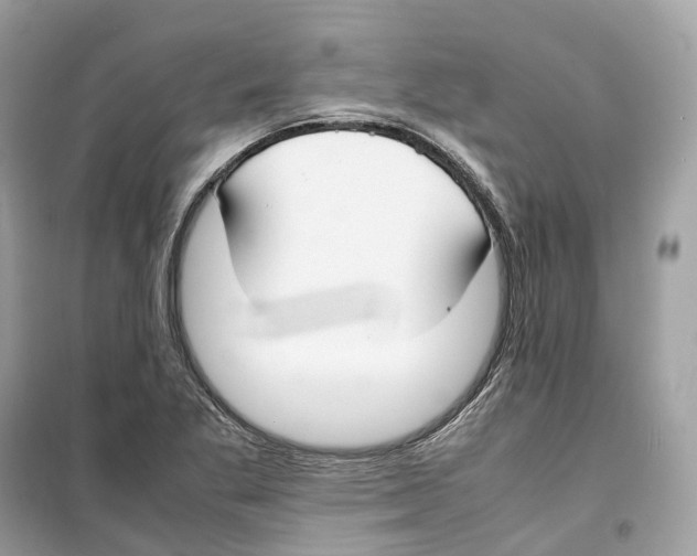 X0000099231269200805221828