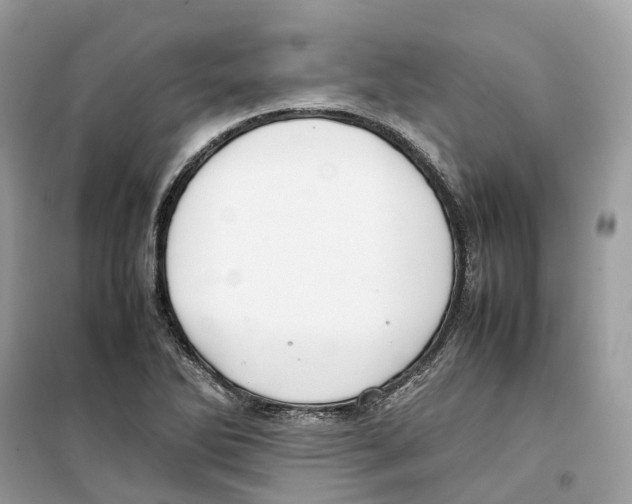 X0000099231270200805221828