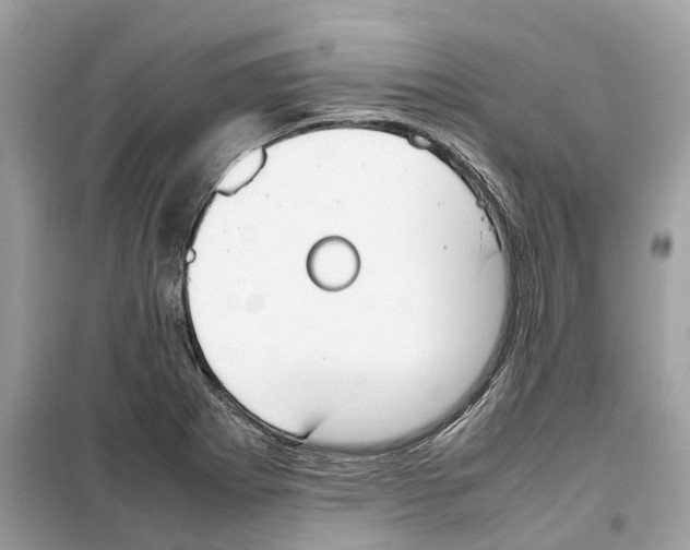 X0000099231273200805221828