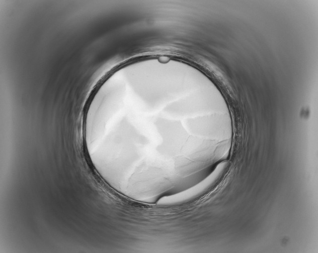 X0000099231275200805221828