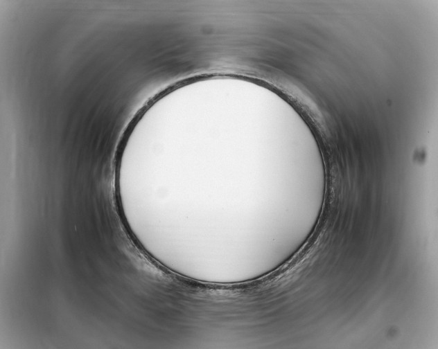 X0000099231280200805221828