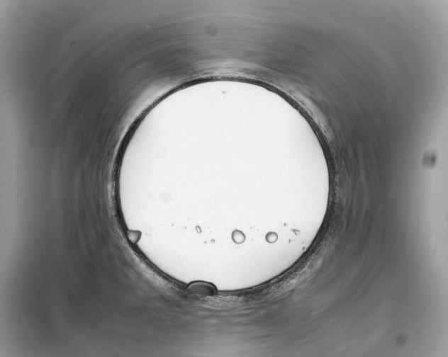 X0000099231285200805221828