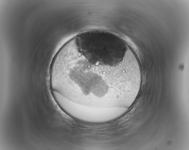 X0000099231287200805221828