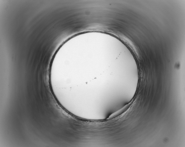 X0000099231288200805221828