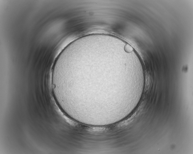 X0000099231290200805221828