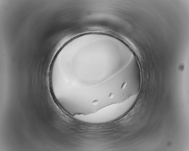 X0000099231291200805221828