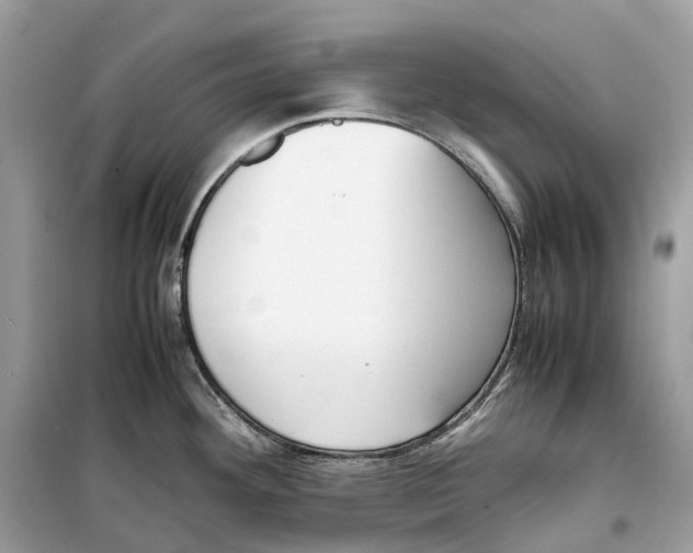 X0000099231292200805221828