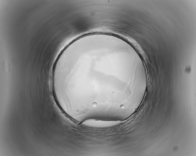 X0000099231295200805221828