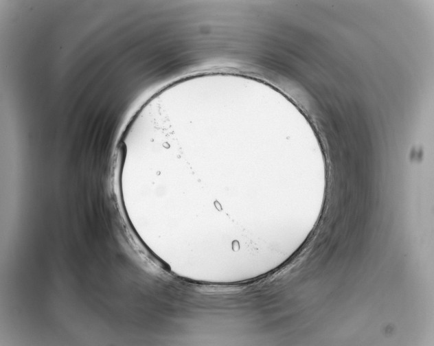 X0000099231296200805221828