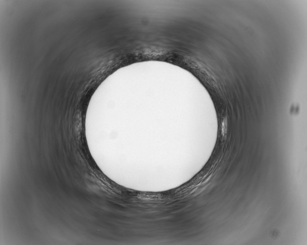 X0000099231299200805221827