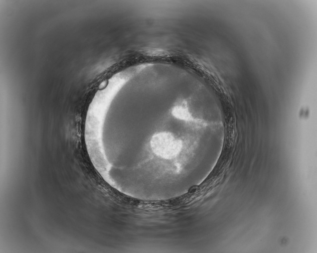 X0000099231301200805221827