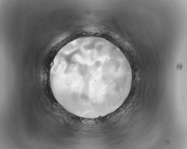 X0000099231302200805221827