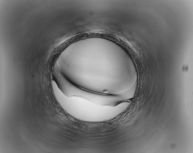 X0000099231303200805221827