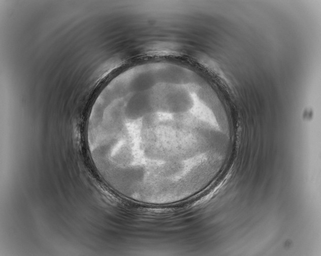 X0000099231305200805221827