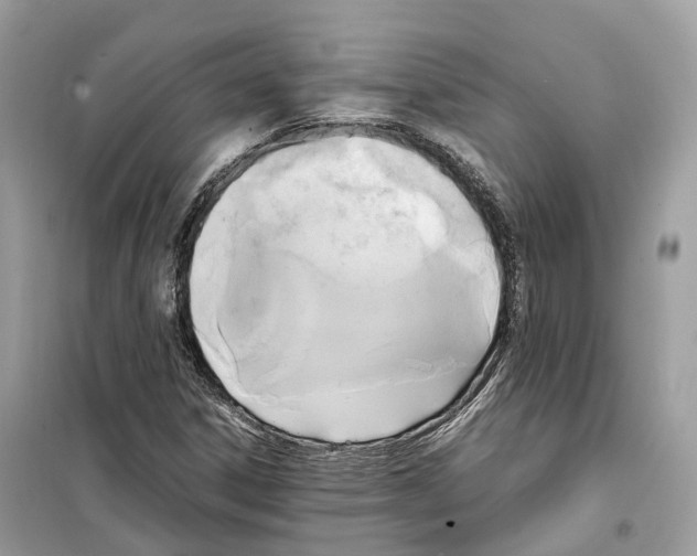 X0000099231306200805221827