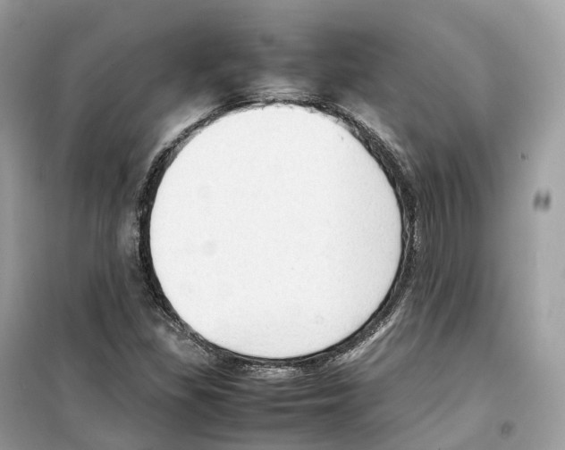 X0000099231309200805221827