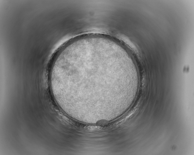 X0000099231310200805221827