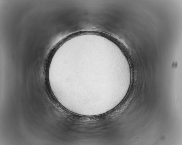 X0000099231311200805221827