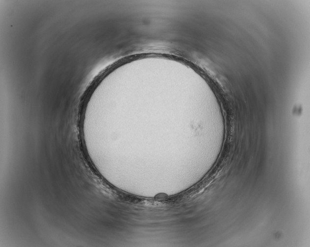 X0000099231312200805221827