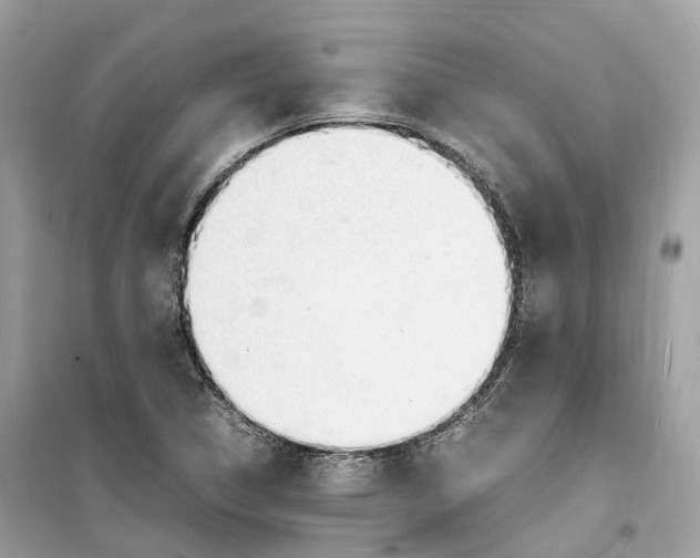 X0000099231314200805221827