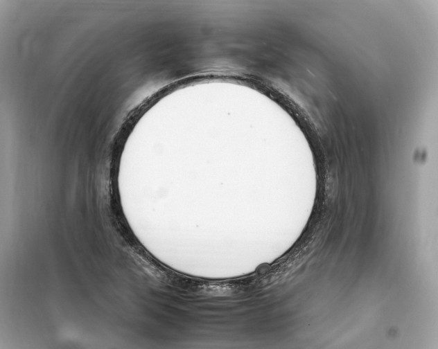 X0000099231315200805221827