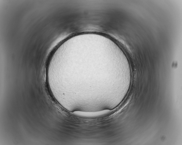 X0000099231317200805221827