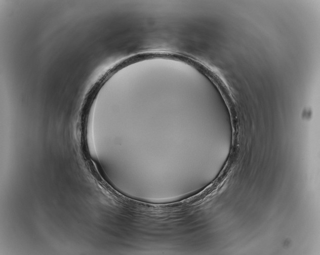 X0000099231319200805221827