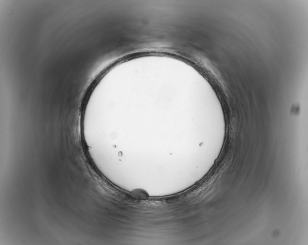 X0000099231320200805221827