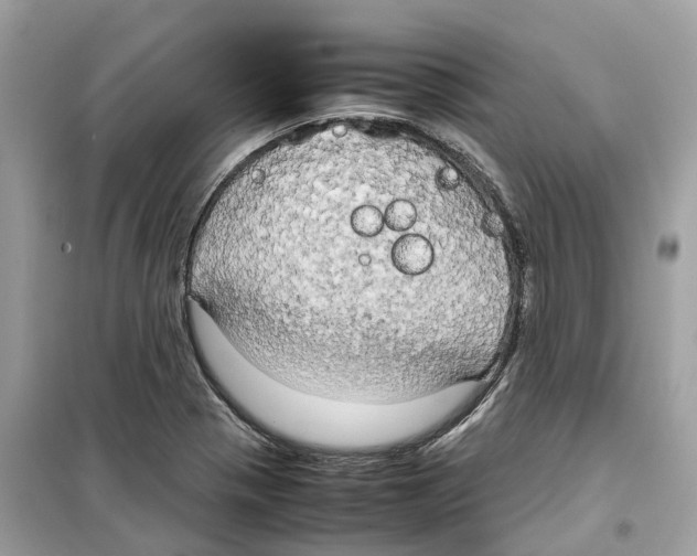 X0000099231321200805221828