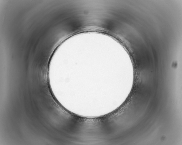 X0000099231322200805221828