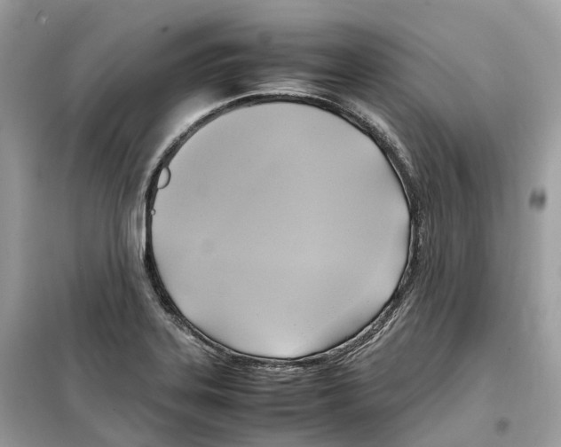 X0000099231323200805221828