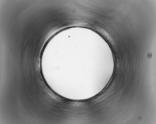 X0000099231324200805221828