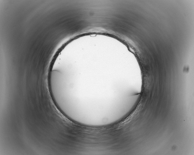 X0000099231326200805221828